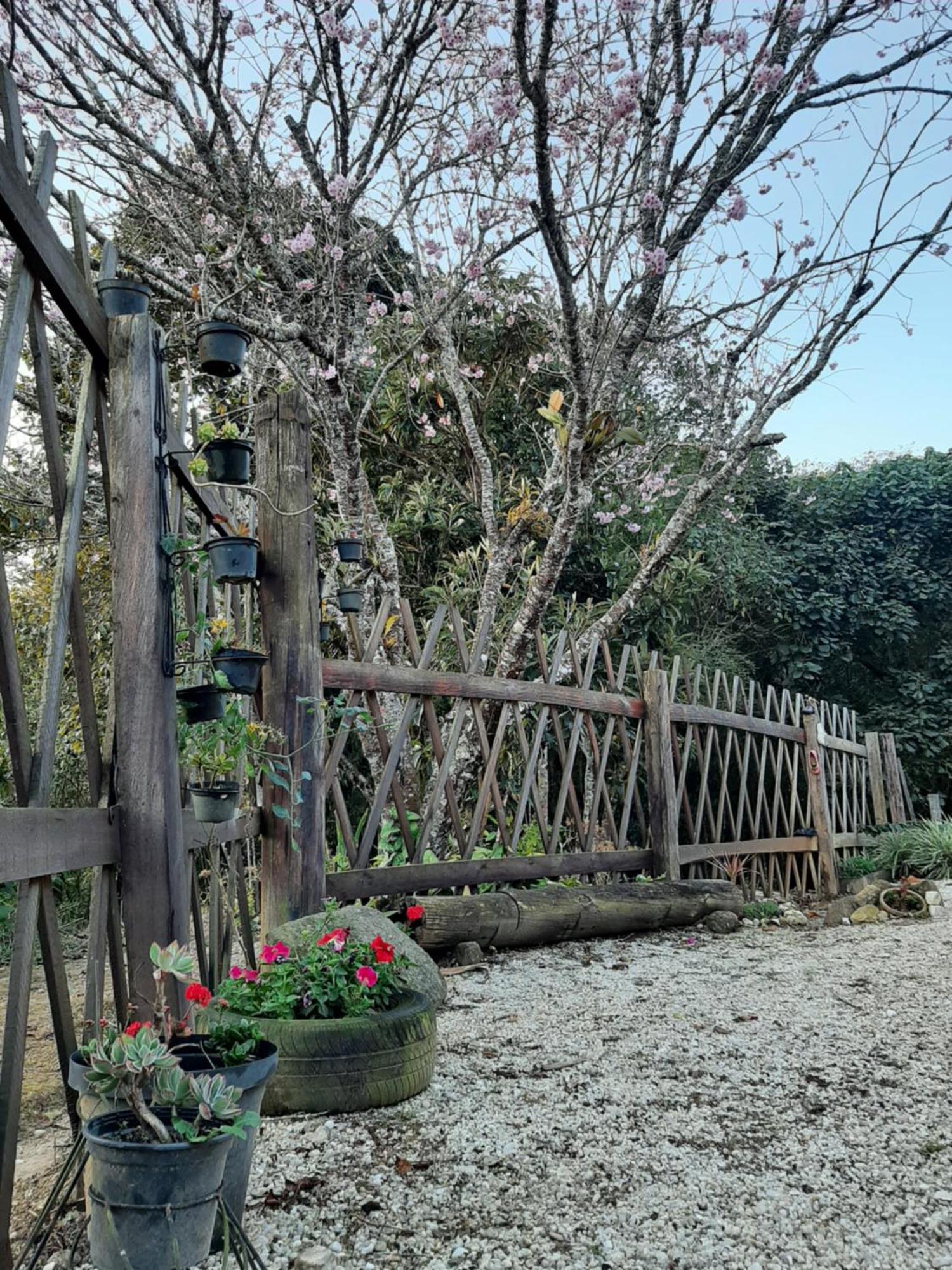 Villa Casa Kiiro, Um Ambiente Tranquilo E De Sossego. Santo Antônio do Pinhal Esterno foto